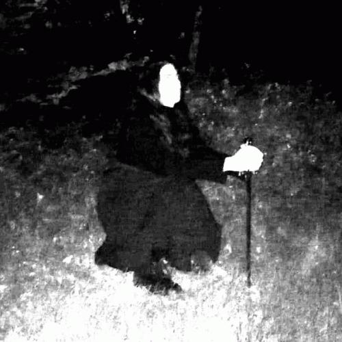 Ardente : Split Promo 2024 Ardente : Split Promo 2024